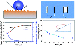 Graphical abstract: Nanostructures in superhydrophobic Ti6Al4V hierarchical surfaces control wetting state transitions