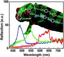 Graphical abstract: Multi-responsible chameleon molecule with chiral naphthyl and azobenzene moieties