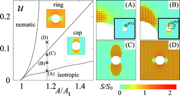 Graphical abstract: Nematic caps on colloidal particles in a nematogenic liquid under an electric field