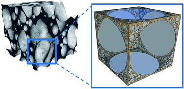 Graphical abstract: Growth and setting of gas bubbles in a viscoelastic matrix imaged by X-ray microtomography: the evolution of cellular structures in fermenting wheat flour dough