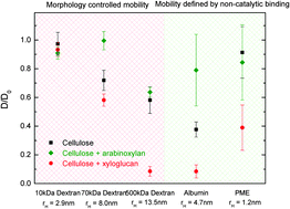 Graphical abstract: Diffusion of macromolecules in self-assembled cellulose/hemicellulose hydrogels