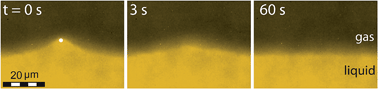 Graphical abstract: Optical trapping of interfaces at ultra-low interfacial tension