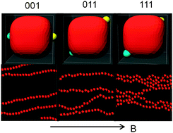 Graphical abstract: Quasi-2d fluids of dipolar superballs in an external field