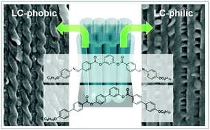 Graphical abstract: Physico-chemical confinement of helical nanofilaments