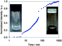 Graphical abstract: Using molecular rotors to probe gelation