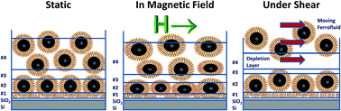 Graphical abstract: Self assembly of magnetic nanoparticles at silicon surfaces