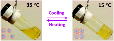 Graphical abstract: Reversible sol–gel transitions of aqueous dispersions of silica nanoparticles grafted with diblock copolymer brushes composed of a thermosensitive inner block and a charged outer block