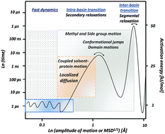 Graphical abstract: Protein dynamics: from rattling in a cage to structural relaxation