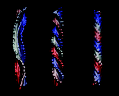 Graphical abstract: From ribbons to tubules: a computational study of the polymorphism in aggregation of helical filaments