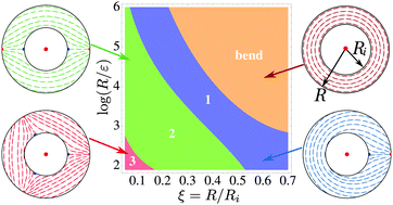 Graphical abstract: Viral nematics in confined geometries