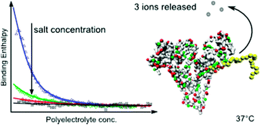 Graphical abstract: Interaction of human serum albumin with short polyelectrolytes: a study by calorimetry and computer simulations