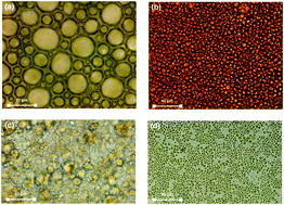 Graphical abstract: A microscopic Gibbs field model for the macroscopic yielding behaviour of a viscoplastic fluid