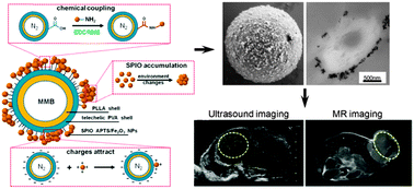 Graphical abstract: Controlled assembly of magnetic nanoparticles on microbubbles for multimodal imaging