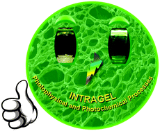 Graphical abstract: Photophysical and photochemical processes in 3D self-assembled gels as confined microenvironments