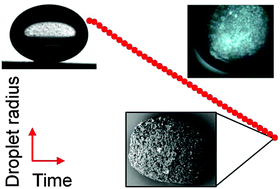 Graphical abstract: Confined self-assembly of cellulose nanocrystals in a shrinking droplet