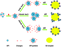 Graphical abstract: Salting-out and salting-in: competitive effects of salt on the aggregation behavior of soy protein particles and their emulsifying properties