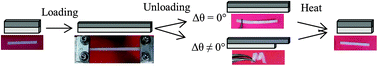 Graphical abstract: Mechanically programmed shape change in laminated elastomeric composites