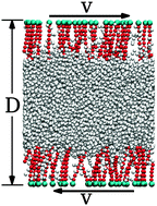 Graphical abstract: Brushes of semiflexible polymers in equilibrium and under flow in a super-hydrophobic regime