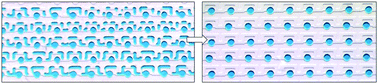 Graphical abstract: Collective dynamics of non-coalescing and coalescing droplets in microfluidic parking networks