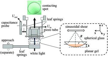 Graphical abstract: Friction of polymer hydrogels studied by resonance shear measurements