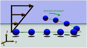 Graphical abstract: Rheotaxis of spherical active particles near a planar wall