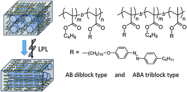 Graphical abstract: Dynamic photoinduced realignment processes in photoresponsive block copolymer films: effects of the chain length and block copolymer architecture