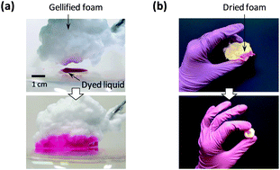 Graphical abstract: Time scales for drainage and imbibition in gellified foams: application to decontamination processes