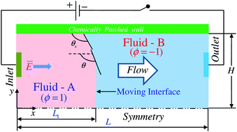 Graphical abstract: Rheology-modulated contact line dynamics of an immiscible binary system under electrical double layer phenomena