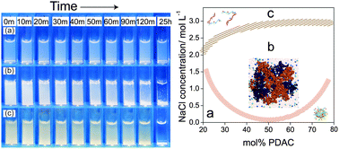 Graphical abstract: The influence of ionic strength and mixing ratio on the colloidal stability of PDAC/PSS polyelectrolyte complexes