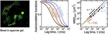 Graphical abstract: Characterizing anomalous diffusion in crowded polymer solutions and gels over five decades in time with variable-lengthscale fluorescence correlation spectroscopy