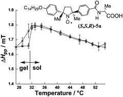 Graphical abstract: Preparation, characterization and magnetic behavior of a spin-labelled physical hydrogel containing a chiral cyclic nitroxide radical unit fixed inside the gelator molecule