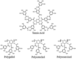 Graphical abstract: Pseudotannins self-assembled into antioxidant complexes