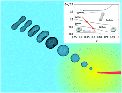 Graphical abstract: Dynamics of fatty acid vesicles in response to pH stimuli