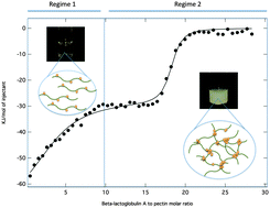 Graphical abstract: Structural mechanism of complex assemblies: characterisation of beta-lactoglobulin and pectin interactions