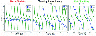 Graphical abstract: A simple model to understand the effect of membrane shear elasticity and stress-free shape on the motion of red blood cells in shear flow