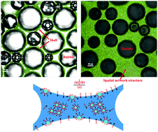 Graphical abstract: CO2 foam properties and the stabilizing mechanism of sodium bis(2-ethylhexyl)sulfosuccinate and hydrophobic nanoparticle mixtures