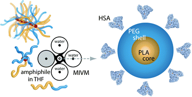 Graphical abstract: Nanoparticle stability in biologically relevant media: influence of polymer architecture