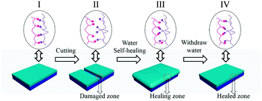 Graphical abstract: Self-healing multilayer polyelectrolyte composite film with chitosan and poly(acrylic acid)