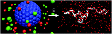 Graphical abstract: Computer simulations of single particles in external electric fields