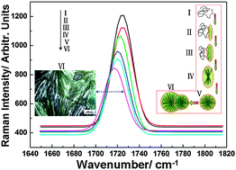 Graphical abstract: Structural evolution analysis and cold-crystallization kinetics of spherical crystals in poly(trimethylene terephthalate) film using Raman spectroscopy