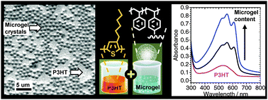 Graphical abstract: Photoactive composite films prepared from mixtures of polystyrene microgel dispersions and poly(3-hexylthiophene) solutions