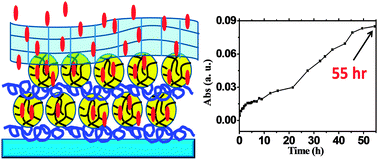 Graphical abstract: PAH/DAS covalently cross-linked layer-by-layer multilayers: a “nano-net” superstratum immobilizes nanoparticles and remains permeable to small molecules