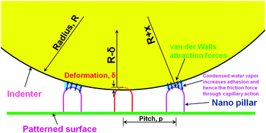 Graphical abstract: Nanotribological and wetting performance of hierarchical patterns