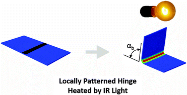 Graphical abstract: Modelling of shape memory polymer sheets that self-fold in response to localized heating