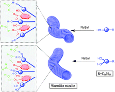 Graphical abstract: The role of hydroxyethyl groups in the construction of wormlike micelles in the system of quaternary ammonium surfactant and sodium salicylate