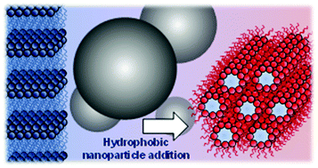 Graphical abstract: Hydrophobic nanoparticles promote lamellar to inverted hexagonal transition in phospholipid mesophases