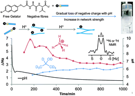 Graphical abstract: Using solution state NMR spectroscopy to probe NMR invisible gelators