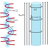 Graphical abstract: Entangled polymer complexes as Higgs phenomena