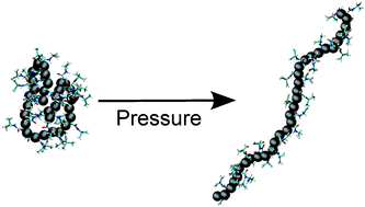 Graphical abstract: Why does high pressure destroy co-non-solvency of PNIPAm in aqueous methanol?