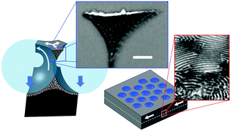 Graphical abstract: When block copolymer self-assembly in hierarchically ordered honeycomb films depicts the breath figure process